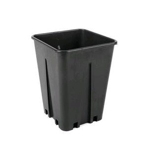 Vaso quadrato 2,5 L