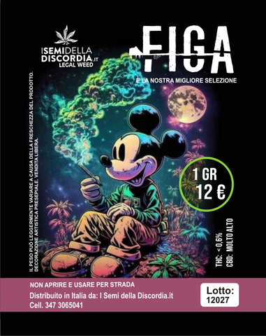 Figa (1 gr.)
