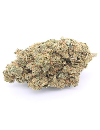 Gorilla(1 gr.)