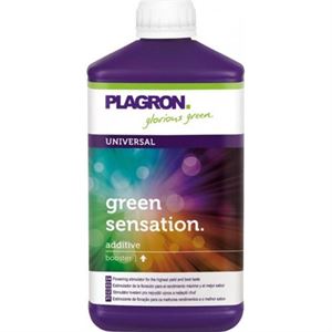 Plagron Green Sensation 100 ml