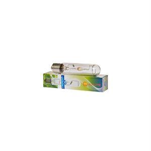 Bulbo Sylvania 150W SHP - Fioritura