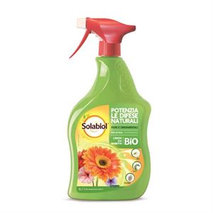 Olio di soia Solabiol 1L
