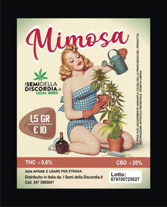 Mimosa Flowers (1,5 gr)
